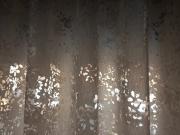 IMG-20241212-WA0018